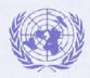 Universal organization?